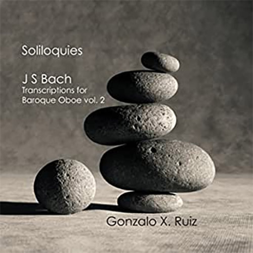 Zarabanda de la Suite en Sol menor BWV 1013